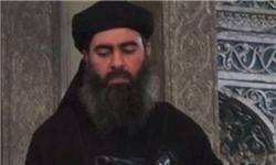فرمانده عراقی: ابوبکر البغدادی در زیر زمین مخفی است