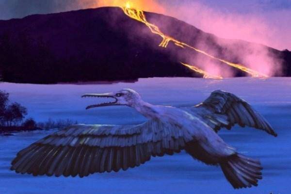 کشف فسیل پرنده 90 میلیون ساله؛ کلید پیش بینی آینده زمین + تصاویر