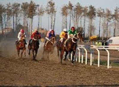 رقابت 63 راس اسب در هفته 23 مسابقات اسبدوانی کورس پاییزه گنبدکاووس