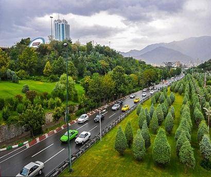 تلاش شهرداری و شورای شهر برای حفظ باغات/ درختانی که عمرشان به دستان شهرداری است