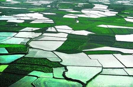 اجرای طرح کاداستـر در بیش از 3 هزار هکتار از اراضی کشاورزی پیرانشهر