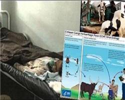 شیوع بیماری تب کنگو در "بلوچستان پاکستان"