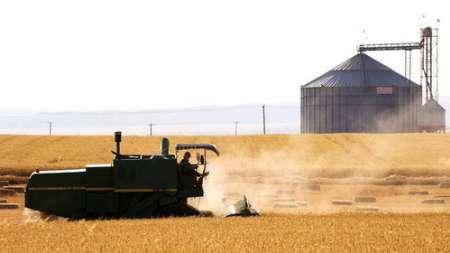 26 مرکز خرید گندم در آذربایجان غربی راه اندازی شد
