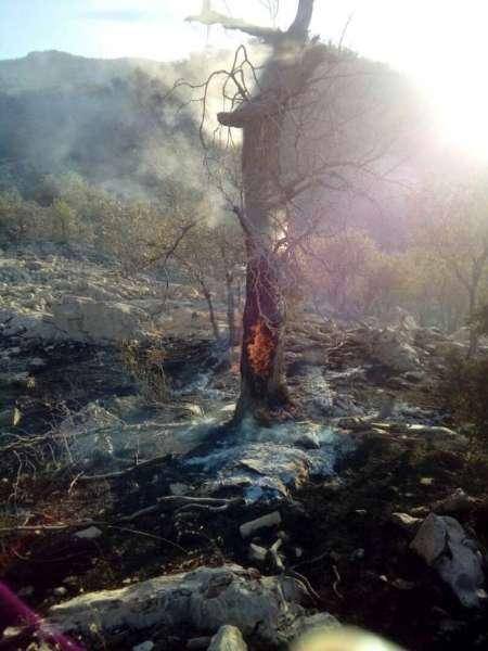 30 هکتار از مراتع و جنگل‌های کوه خامی گچساران در آتش سوخت