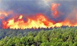 امیدواری برای سرد شدن شعله‌های آتش در جنگل‌های اندیمشک