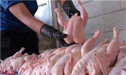 افزایش دوره پرورش مرغ عامل افزایش قیمت/ مرغ کیلویی ۸ هزار تومان گران نیست