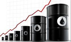 افزایش نسبی قیمت نفت در بازار جهانی/ هر بشکه برنت 51.11 دلار
