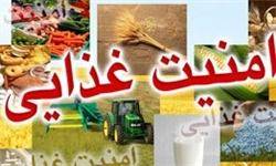 سنجش نسبی وضعیت امنیت غذایی ایران در بین کشورهای منطقه منا