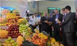 دومین نمایشگاه بین‌المللی میوه و سبزیجات در ازبکستان آغاز به کار کرد + تصاویر