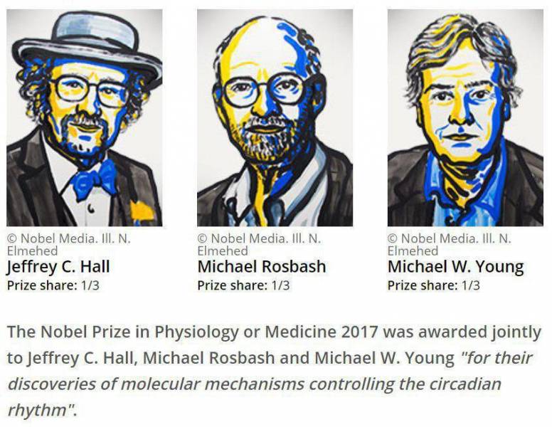 جایزه نوبل پزشکی به سه پژوهشگر آمریکایی تعلق گرفت