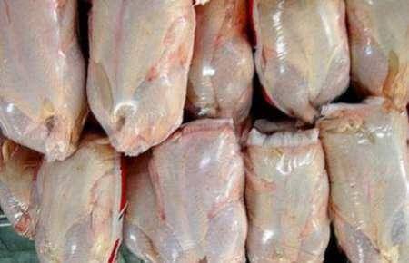 تولید 836 تن گوشت مرغ در گچساران