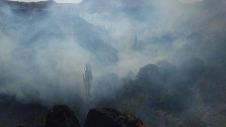 250 هکتار از باغات شهرستان بن در محاصره آتش