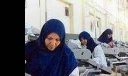 بررسی نقش اشتغال و تحصیلات زنان بر رشد اقتصادی ایران