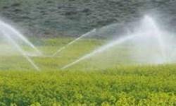 مصرف آب بخش کشاورزی را می‌توان تا ۵۰ درصد کمتر کرد/ آب در بخش صنعت آلمان تا ۱۸بار بازچرخانی می‌شود