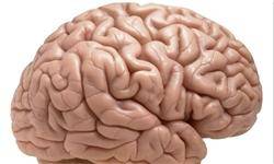 بررسی عملکرد مغز بیماران مبتلا به بیماری‌های روانپزشکی با استفاده از نقشه برداری مغز