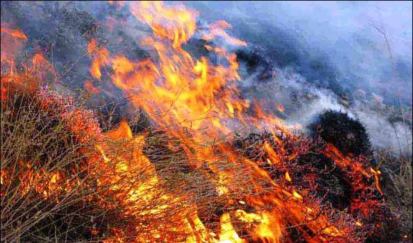 کاهش 70 درصدی آتش سوزی در مراتع خنداب
