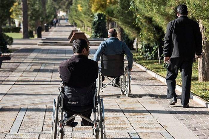 400 نفر به جمعیت معلولان ایلام اضافه شد/ ناتوانی جسمی، حرکتی بیشترین نوع معلولیت