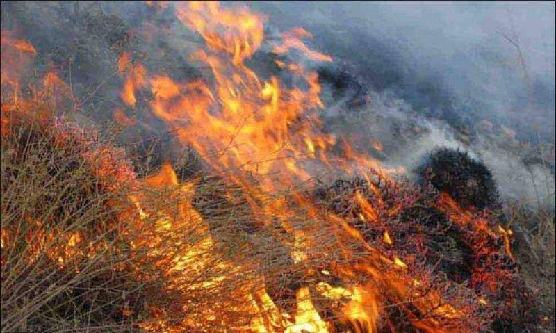 باورهای غلط عشایر پنج هکتار از طبیعت اسدآباد را به آتش کشید