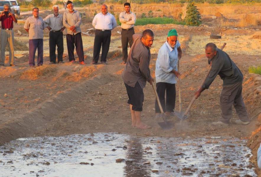 آیین سنتی ' آب به بذر شلغم' در خور و بیابانک
