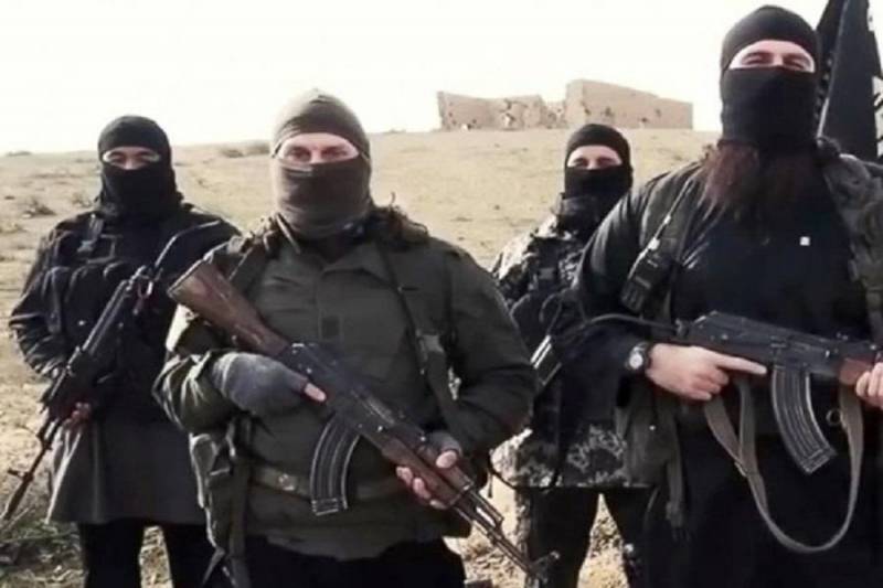 علل کندی نابودی داعش در سوریه