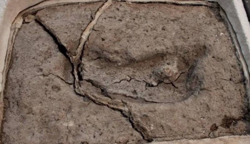 کشف رد پای 15 هزار ساله انسان در شیلی