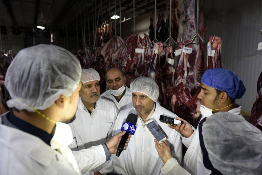 70 درصد گوشت مصرفی البرز از کشتارگاه فردیس تامین می شود