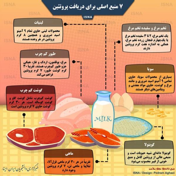 7 منبع اصلی برای دریافت پروتئین (اینفوگرافی)