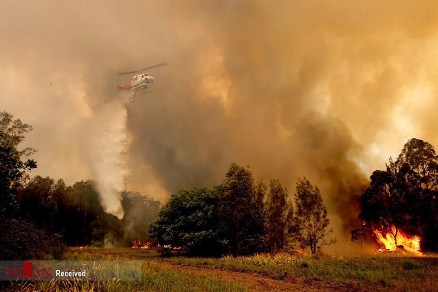 آتش سوزی گسترده در مناطقی از استرالیا؛ شعله‎های آتش به نزدیکی سیدنی رسیدند