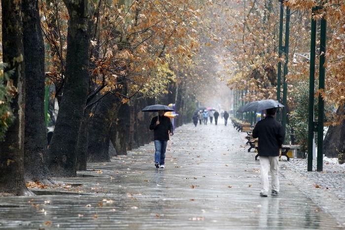 میانگین بارش باران در استان کرمانشاه به ۲۲۲ میلی‌متر رسید