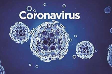 سخنگوی سازمان جهانی بهداشت: ویروس کرونا به تمام کشورهای جهان می رسد 