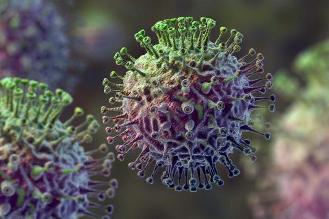 روزنامه سوئیسی:کرونا به ویروس سرماخوردگی عادی تبدیل خواهد شد