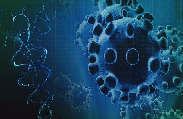 تکثیر ویروس کرونا موجب تولید فرم‌های جدید خواهد شد/اعلام دلایل علمی برای نرفتن به مسافرت