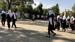 کرونا در افغانستان؛ 'مدارس و دانشگاه‌ها با یک ماه تاخیر باز می‌شوند'