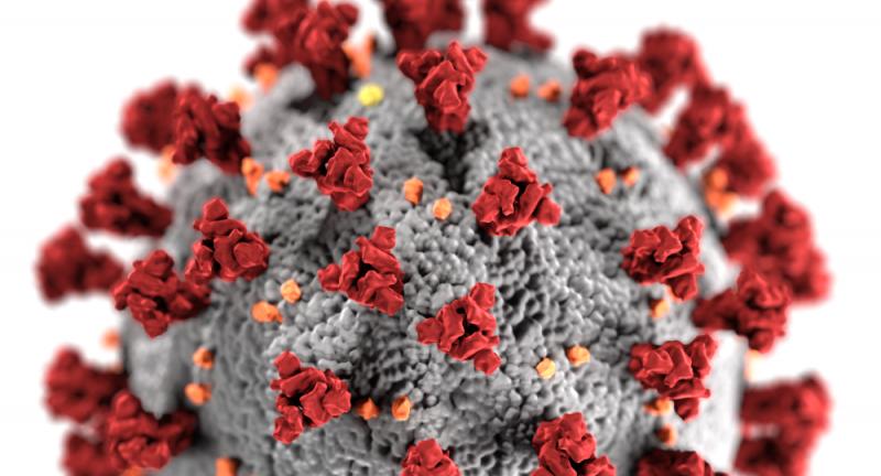 ویروس کرونا چطور در خارج از بدن انسان زندگی می کند