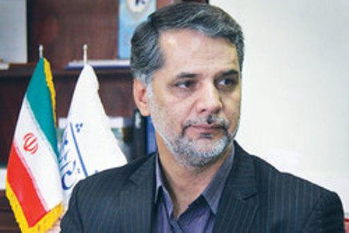 نقوی حسینی: مجلس و دولت در اجرای گام دوم انقلاب بیشتر تلاش کنند