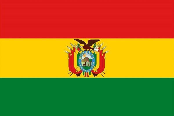 کرونا انتخابات ریاست‌جمهوری بولیوی را به تعویق انداخت
