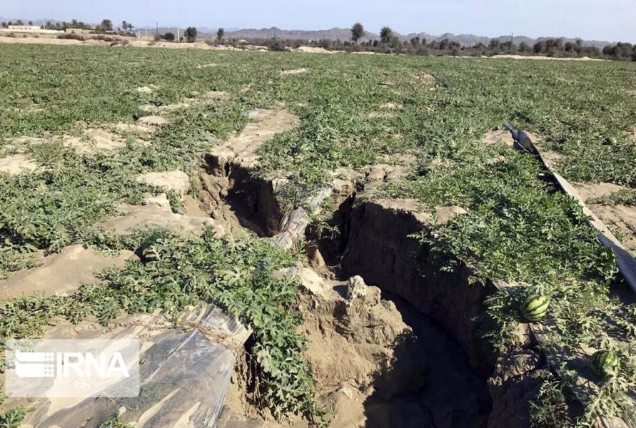 بارندگی ۵۰ میلیارد ریال خسارت به بخش کشاورزی خراسان رضوی وارد کرد