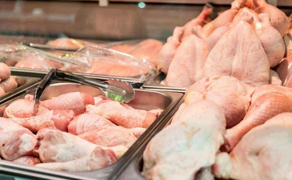 مرغ‌های غیربهداشتی در بازار سنقر و کلیایی جمع‌آوری و معدوم شد