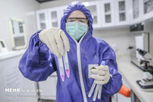 ساخت داروی «فاویپراویر» در کشور برای درمان کرونا