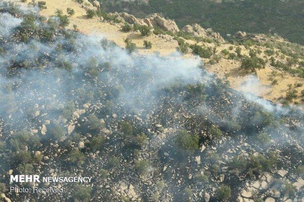۵۰ درصد آتش‌سوزی‌ها در حوزه مراتع و صنایع متعلق به خوزستان است