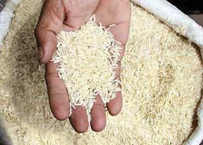 هشدار درباره کلاهبرداری در فروش برنج/ هموطنان مراقب باشند