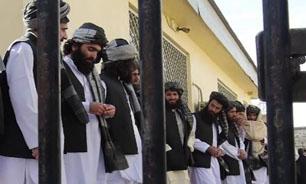 آزادی ۶۷ زندانی گروه طالبان توسط دولت افغانستان
