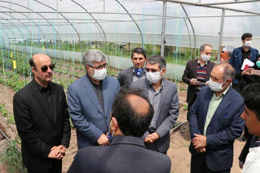 نماینده مجلس: استان اردبیل با تلاش جهادی، قطب تولید محصولات گلخانه‌ای کشور می‌شود