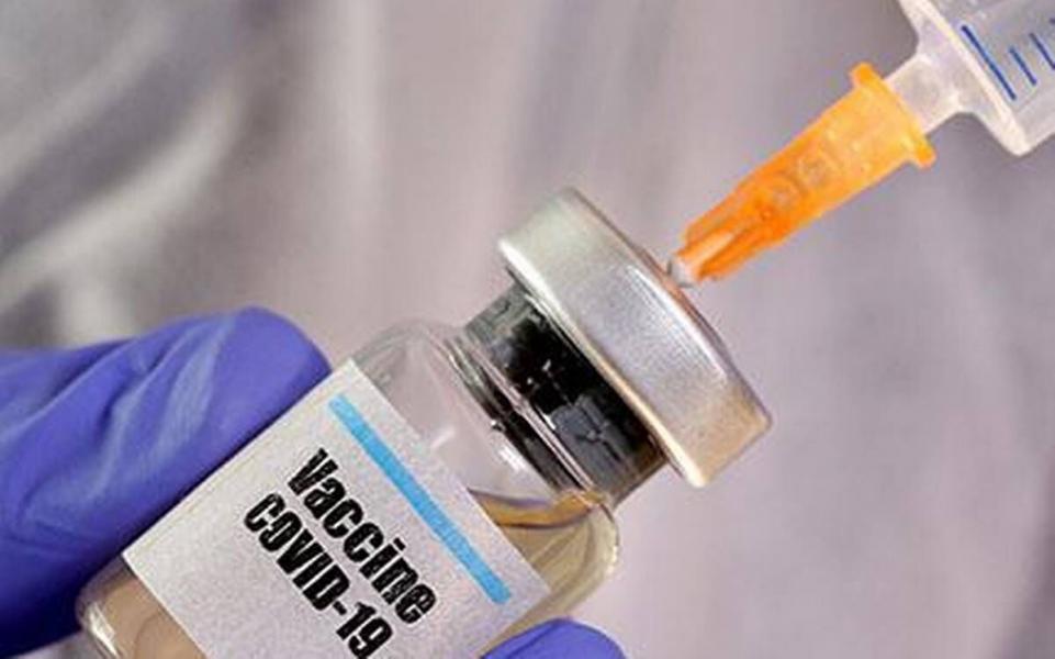 آزمایش موفقیت‌آمیز واکسن کرونا روی نخستی‌سانان