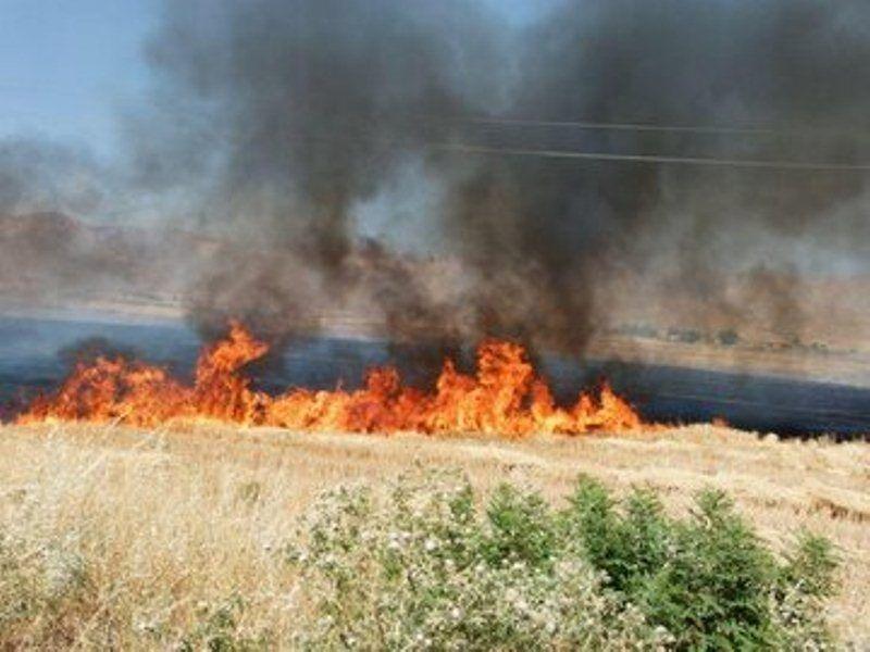 ۶ هکتار از مزارع کشاورزی سرپل‌ذهاب در آتش سوخت