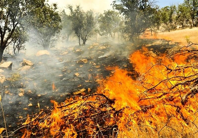 برخورد قضایی دادگستری شهرستان بدره با مسببان آتش سوزی جنگل‌ها