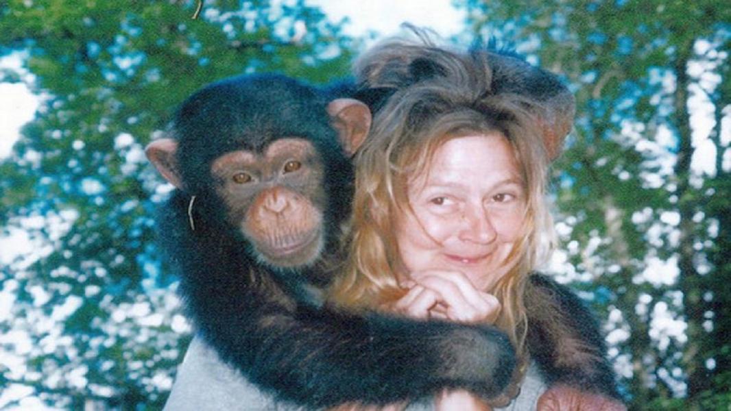 داستان هولناک زنی که شامپانزه صورت و دست‌های او را از هم درید + تصاویر