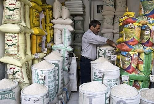 قیمت گذاری خودسر برنج ایرانی با نوسانات ارز در بازار/ دلال‌هایی که پول به جیب می‌زنند و به ریش مردم می‌خندند