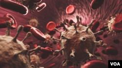 نزدیک به ۶ میلیون نفر در جهان به ویروس کرونا مبتلا شده‌اند