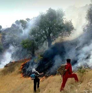 آتش‌سوزی جنگل‌های خائیز همچنان ادامه دارد